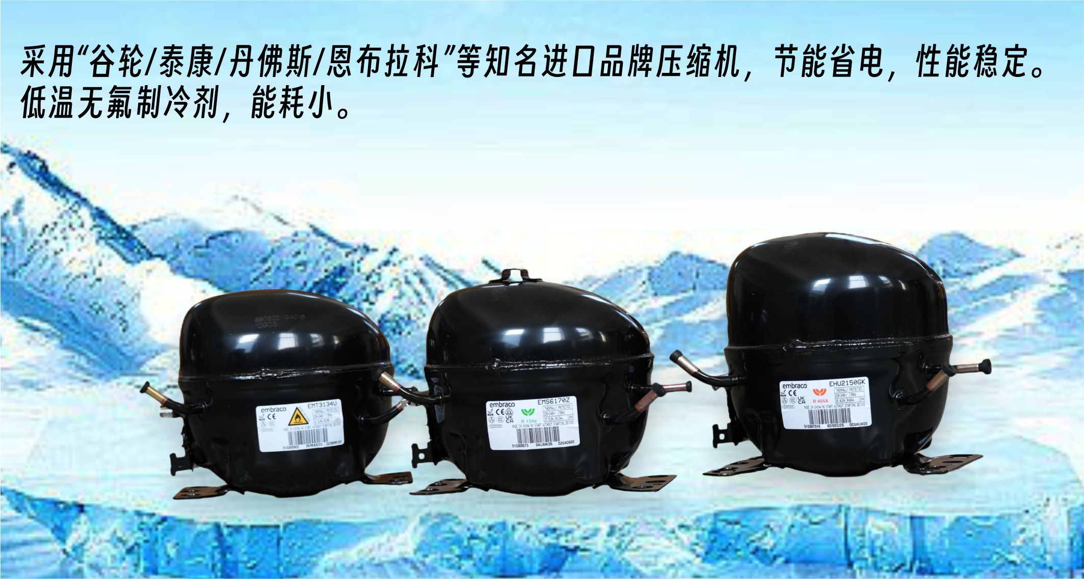2 晶百誉冷柜配备知名进口品牌压缩机.jpg